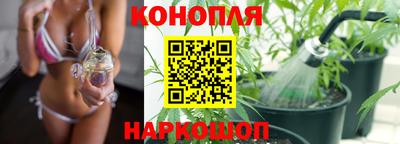 трава Чебоксары