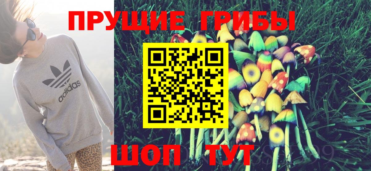 Псилоцибиновые грибы Psilocybine cubensis Ликино-Дулёво