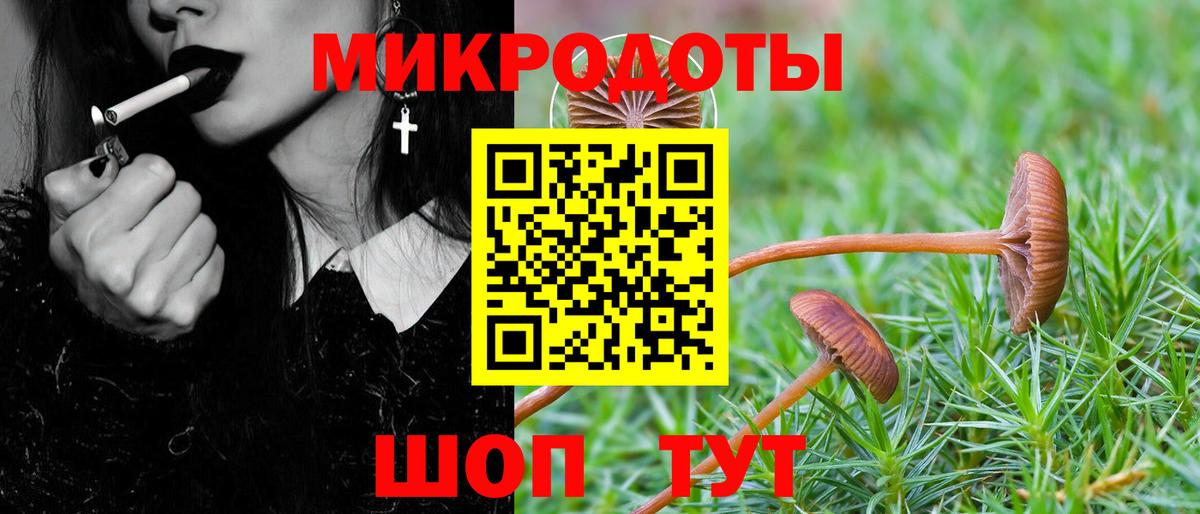 Ликино-Дулёво  Галлюциногенные грибы GOLDEN TEACHER  Вход с VPN 